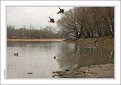 photo "Spring (3)..."