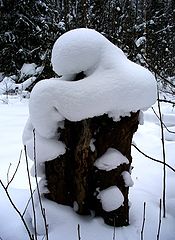 фото "объятия"