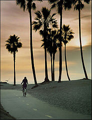 photo "***"