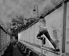 фото "agressive"