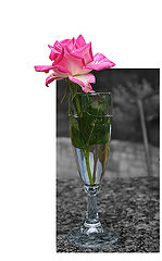 photo "With Love!"