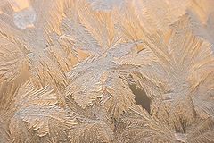 photo "frost design"
