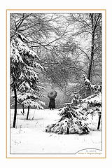 photo "Winter"