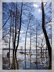 photo "***"