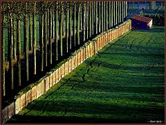 фото "The wall"