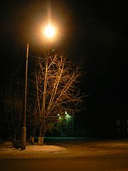 photo "***"