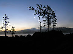 photo "Night-2006"