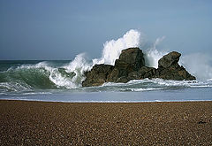 photo "A very fresh day."