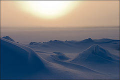 photo "***"