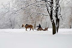 photo "***"