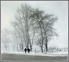 фото "дорога тумана и великаны"