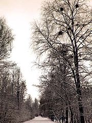 photo "***"