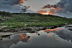 фото "Early Morning"