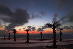photo "Evening"