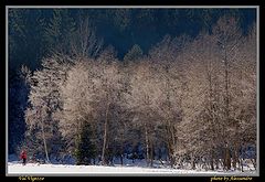 фото "Val Vigezzo winter"