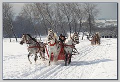 фото "А ну с дороги свои треноги !"