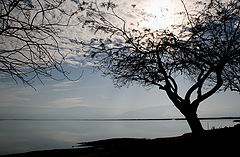 фото "The Dead Sea"