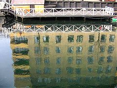 фото "Water color."