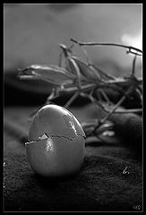 фото "The broken crust"