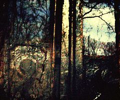 photo "***"