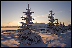 photo "Etude in a park / 0166_0033"