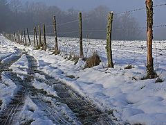 photo "Our only day of snow"