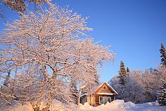 фото "домик в лесу"