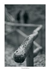 photo "***"