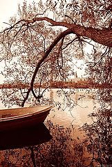 фото "In the journey of life there's always a Nature's hug"