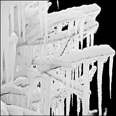 фото "Creative Winter"