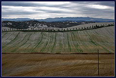 photo "Tuscany"