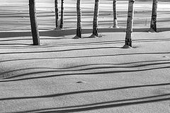 фото "февраль2"
