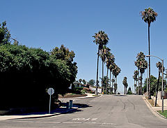 photo "The street where I live"