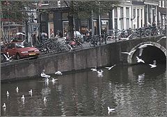 фото "Каналы Амстердама"