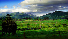 photo "landscape"