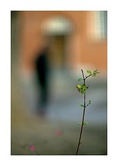 photo "***"