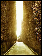 photo "Road to Heaven..."