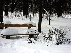 photo "Snow-covered bench"