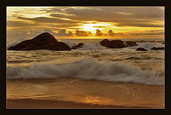 фото "some gold's glow"