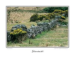 фото "Stonewall"