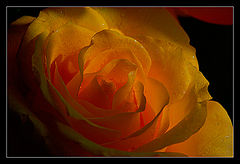 photo "Solar luminescence"