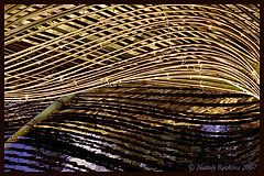 photo "Abstraction"