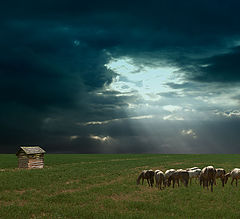 фото "Landscape 4"