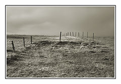 photo "Empty land"