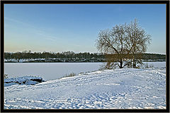 photo "White silence"