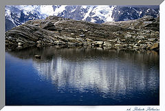 фото "Water under the ice"