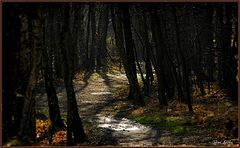 фото "a fine place"