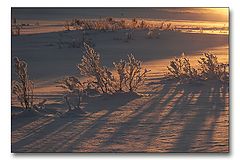 photo "Red snow"