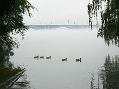 photo "***"