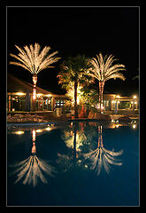 photo "Reflection"